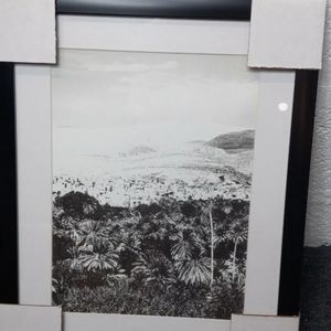 Nordstrom Dandelion Black White Framed Wall Art picture.